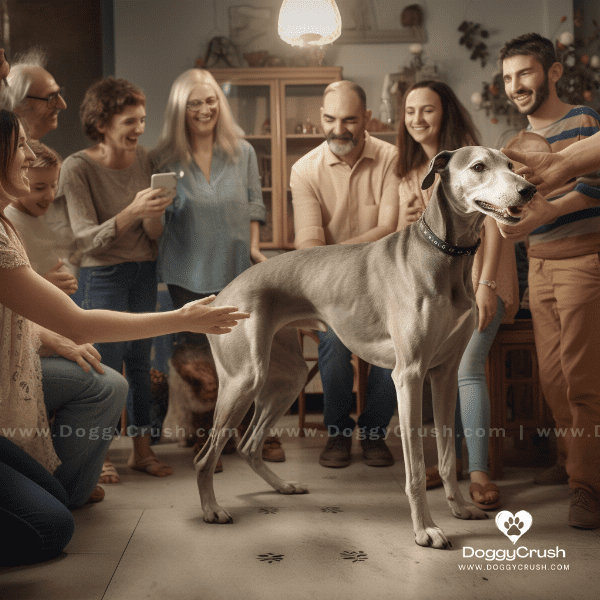 Adopting a Greyhound Dog: What You Need to Know.