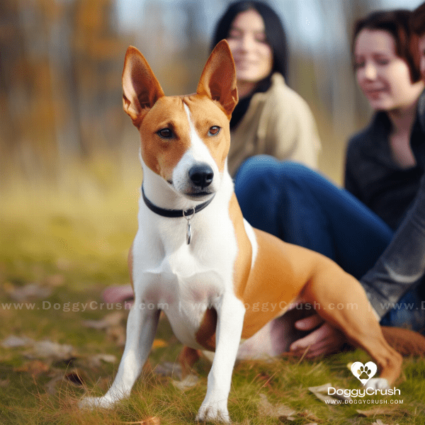 Basenji Dogs as Family Pets: Pros and Cons