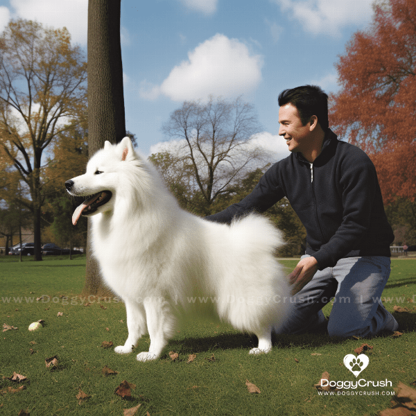 Caring for Your Samoyed: Exercise, Grooming, and Health