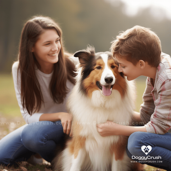 Conclusion: Is a Collie Dog Right for You?
