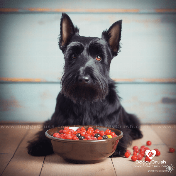 Feeding and Nutrition for Scottish Terriers