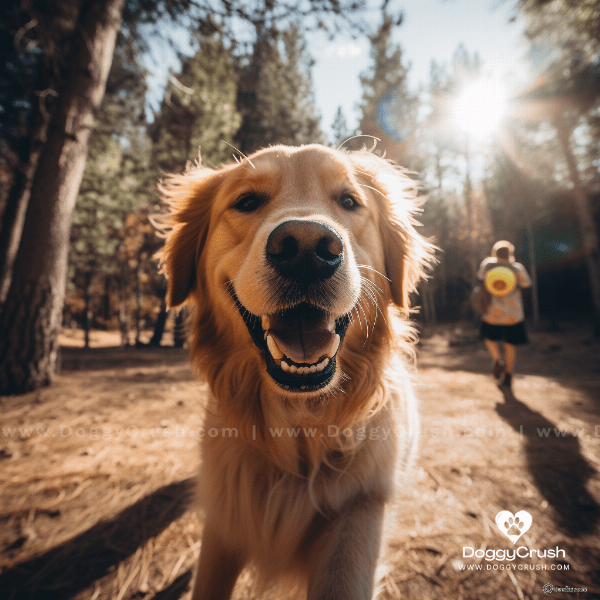 Fun Activities to Do with Your Golden Retriever: Bonding and Playtime