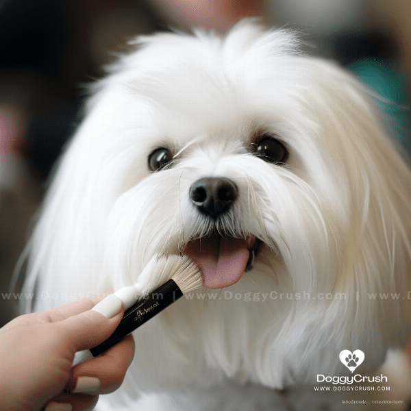 Grooming and Care for Maltese Dogs