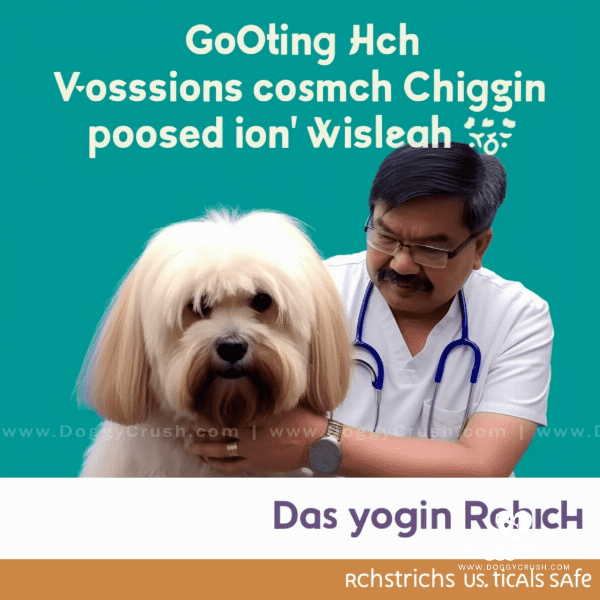 Health Concerns for Lhasa Apso Dogs