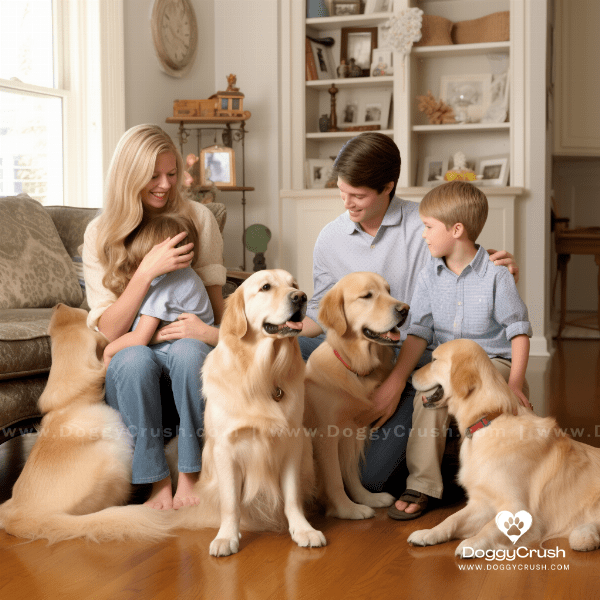 How to Choose a Golden Retriever: Finding the Right Fit
