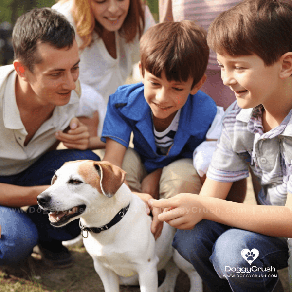 Jack Russell Terrier Dog as a Family Pet: Pros and Cons