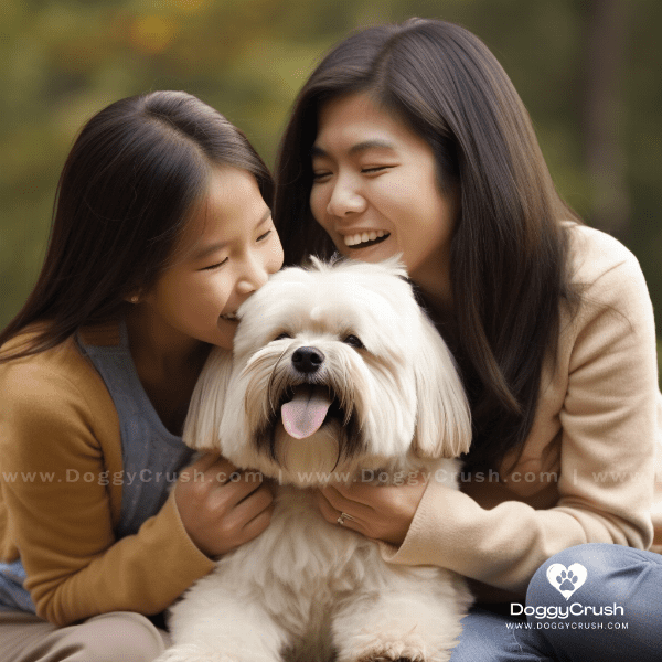 Lhasa Apso Dogs as Family Pets