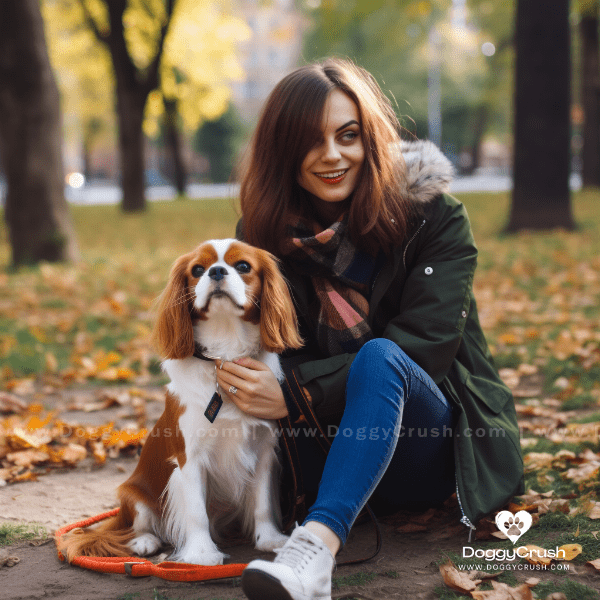 Living with Cavalier King Charles Spaniel Dogs: Tips and Tricks