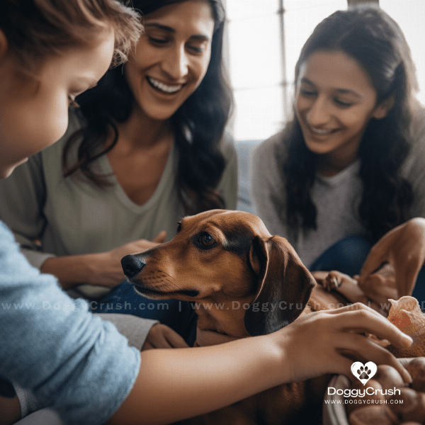 Living with Dachshunds: Tips and Tricks