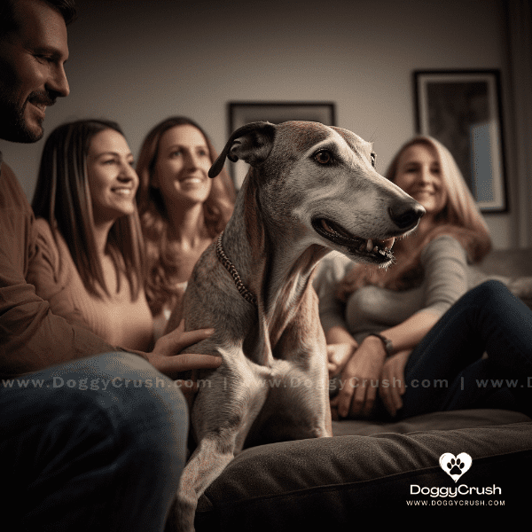 Living with Greyhound Dogs: Tips and Advice