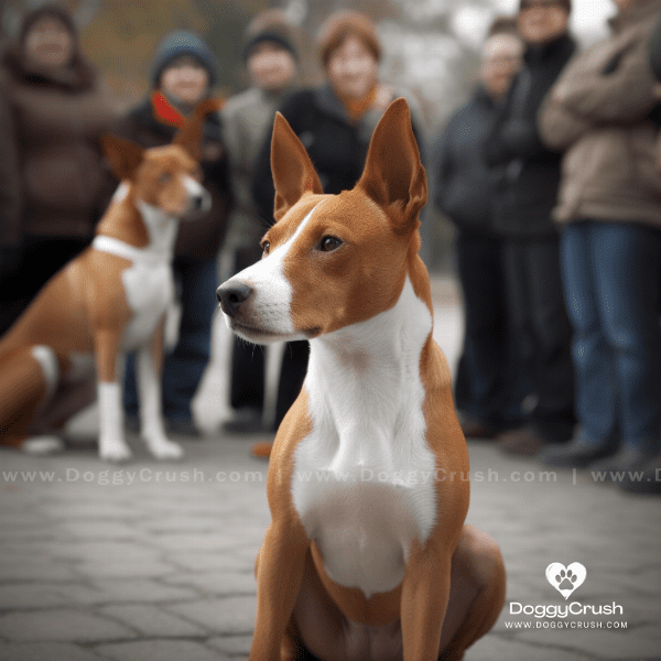 Socializing Basenji Dogs: Challenges and Solutions