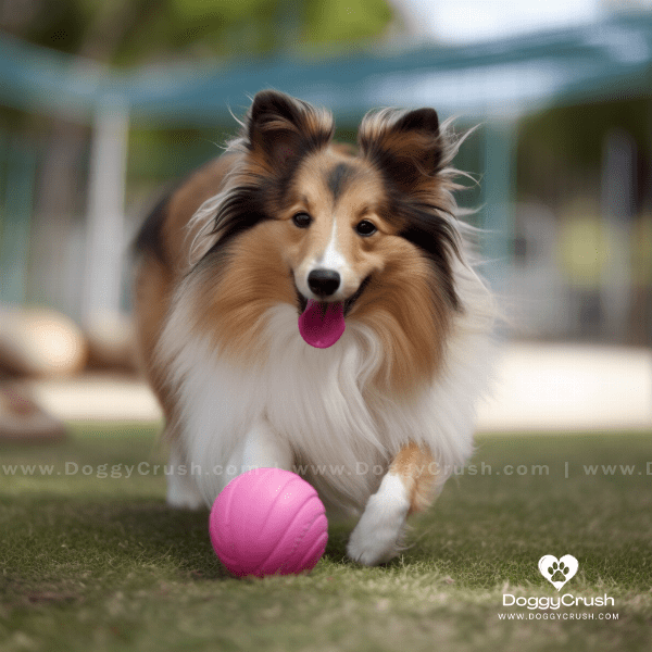 Temperament and Personality Traits of Shetland Sheepdogs