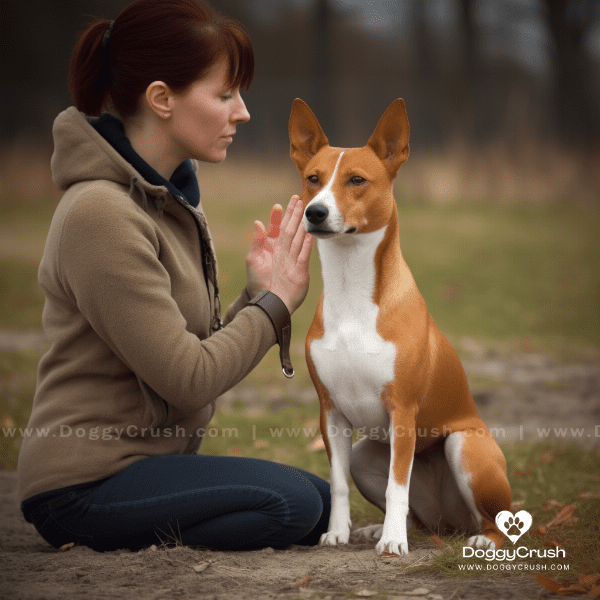 Training Basenji Dogs: Tips and Techniques