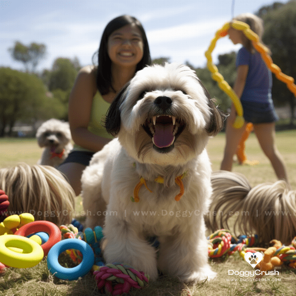 Training and Exercise for Lhasa Apso Dogs